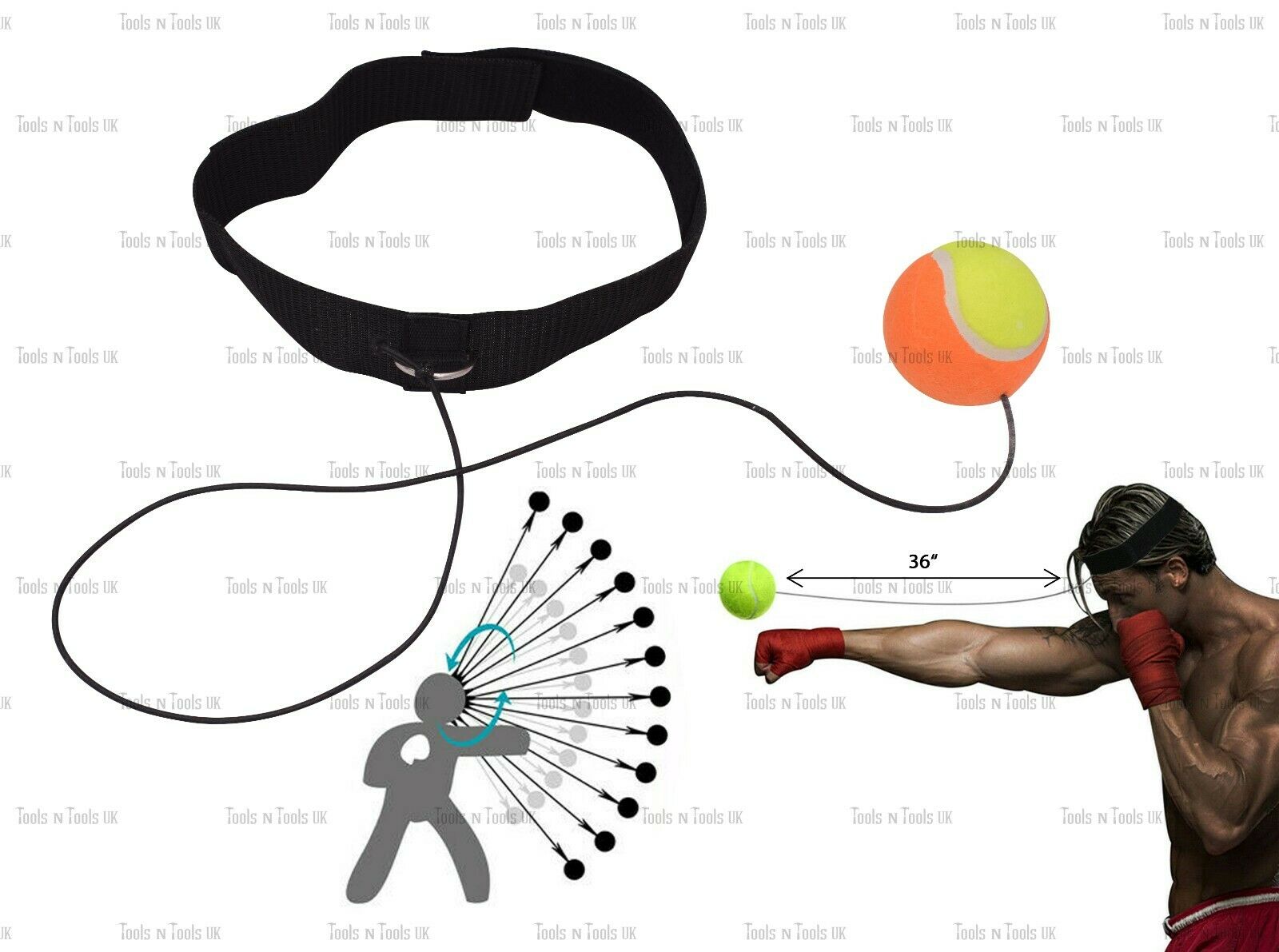 Variation-of-Pro-Reflex-Training-Boxing-Speed-Tennis-Ball-Practice-Sport-Head-Band-Speed-ball-264793921160-4351