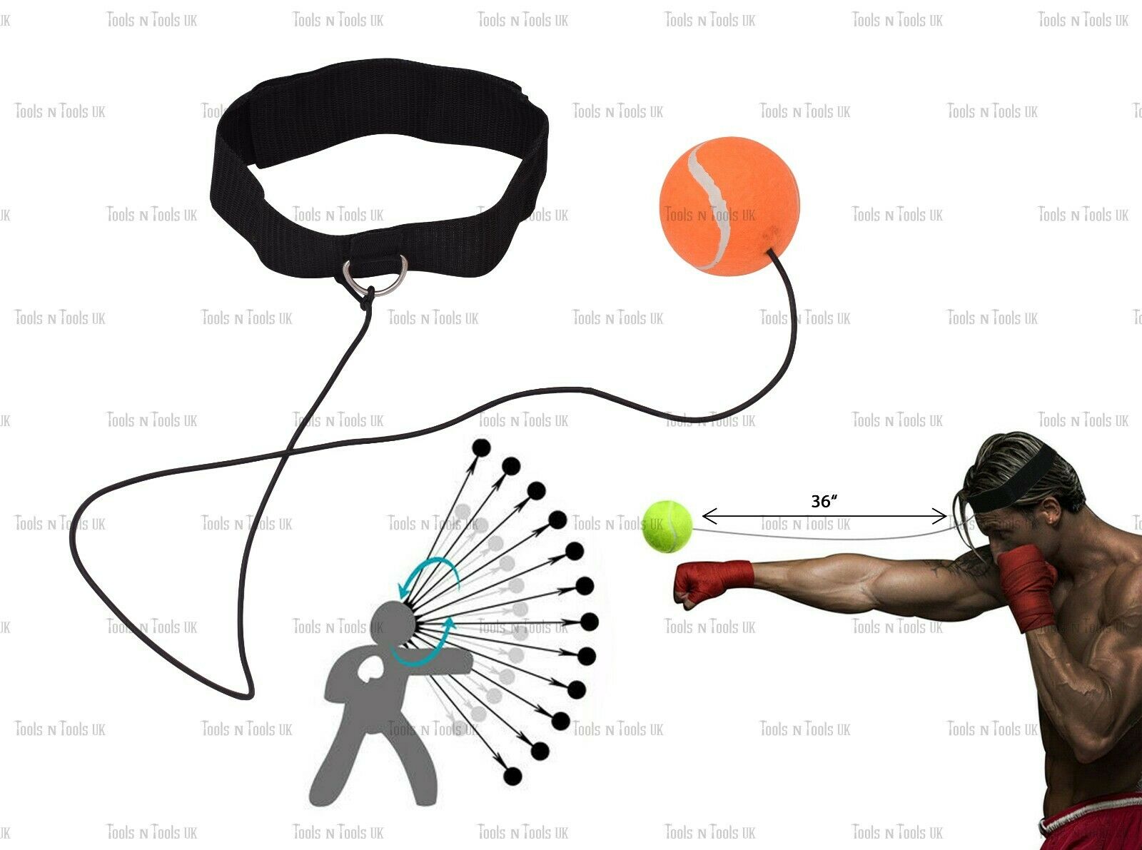 Variation-of-Pro-Reflex-Training-Boxing-Speed-Tennis-Ball-Practice-Sport-Head-Band-Speed-ball-264793921160-46fa