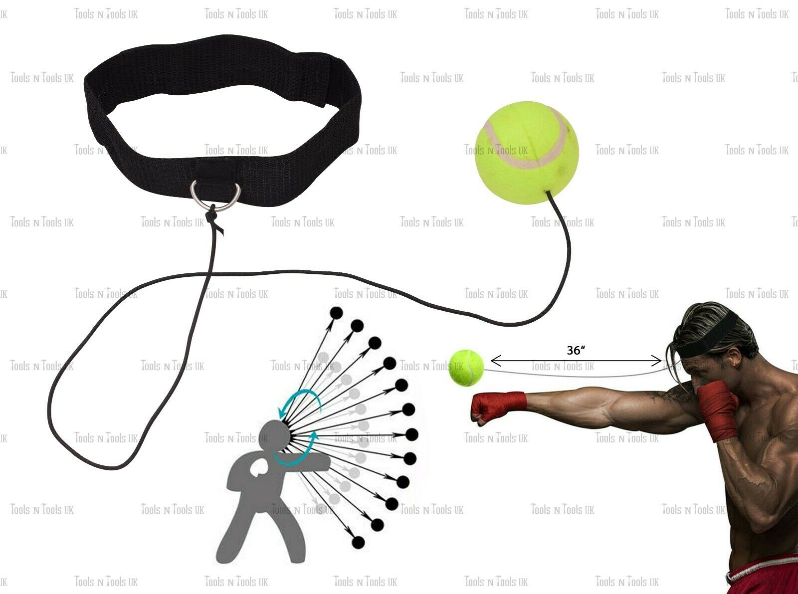Variation-of-Pro-Reflex-Training-Boxing-Speed-Tennis-Ball-Practice-Sport-Head-Band-Speed-ball-264793921160-8172