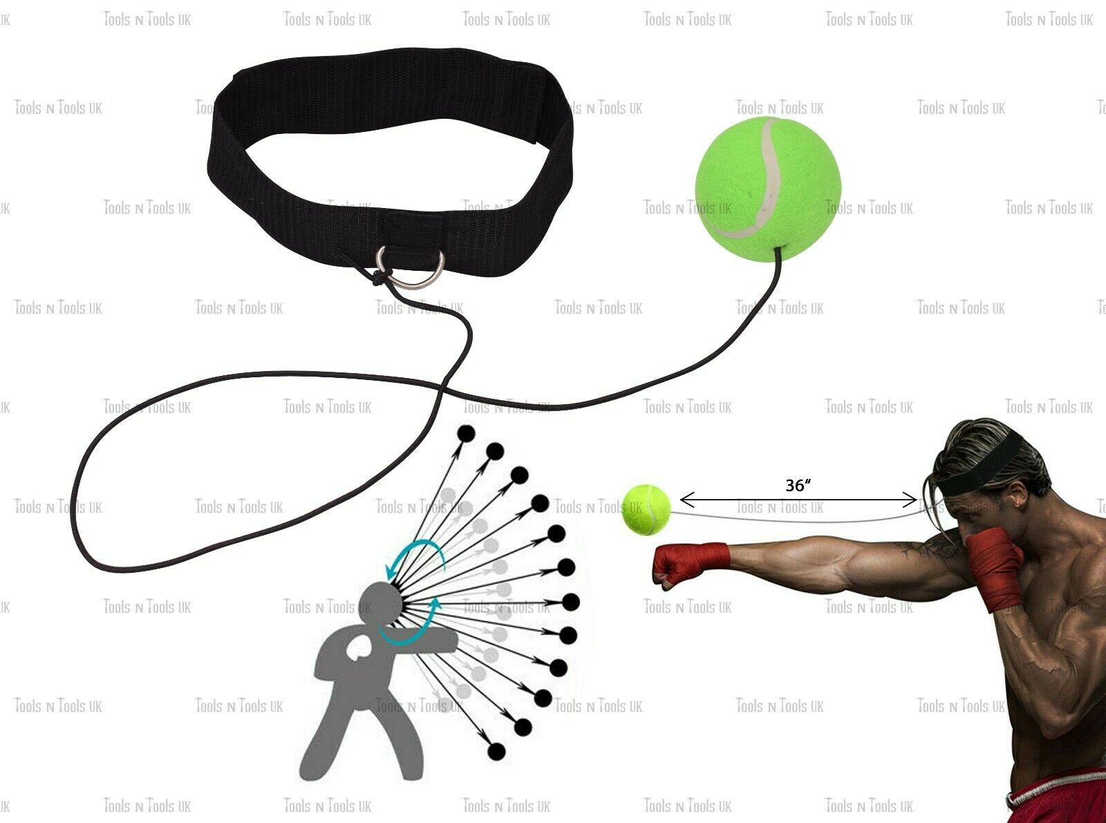 Variation-of-Pro-Reflex-Training-Boxing-Speed-Tennis-Ball-Practice-Sport-Head-Band-Speed-ball-264793921160-8ebd