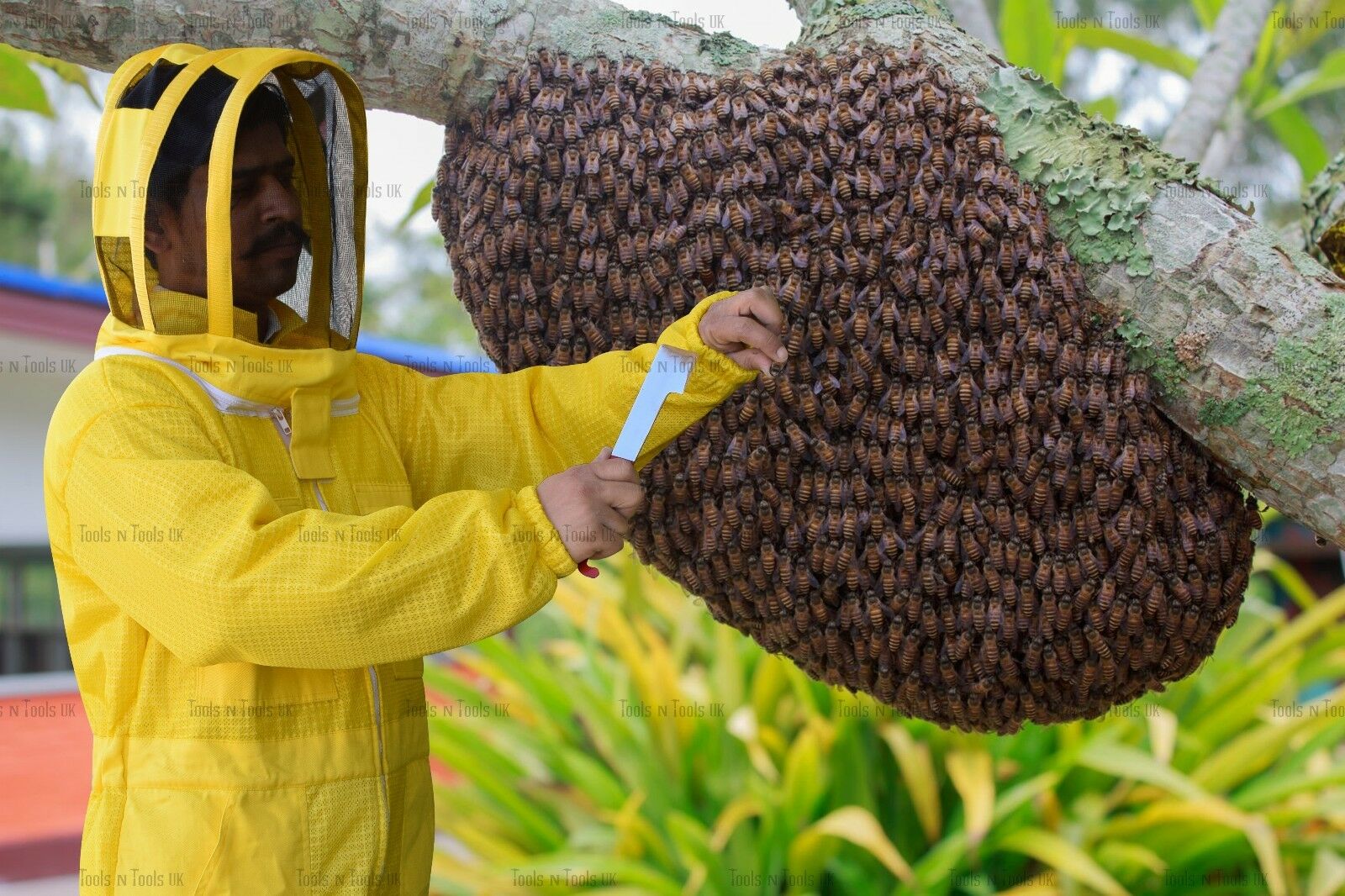 1YELLOW-THREE-LAYERS-MESH-ULTRA-BEEKEEPING-SUIT-BEE-VENTILATED-COOL-AIR-X-LARGE-263686443645-8