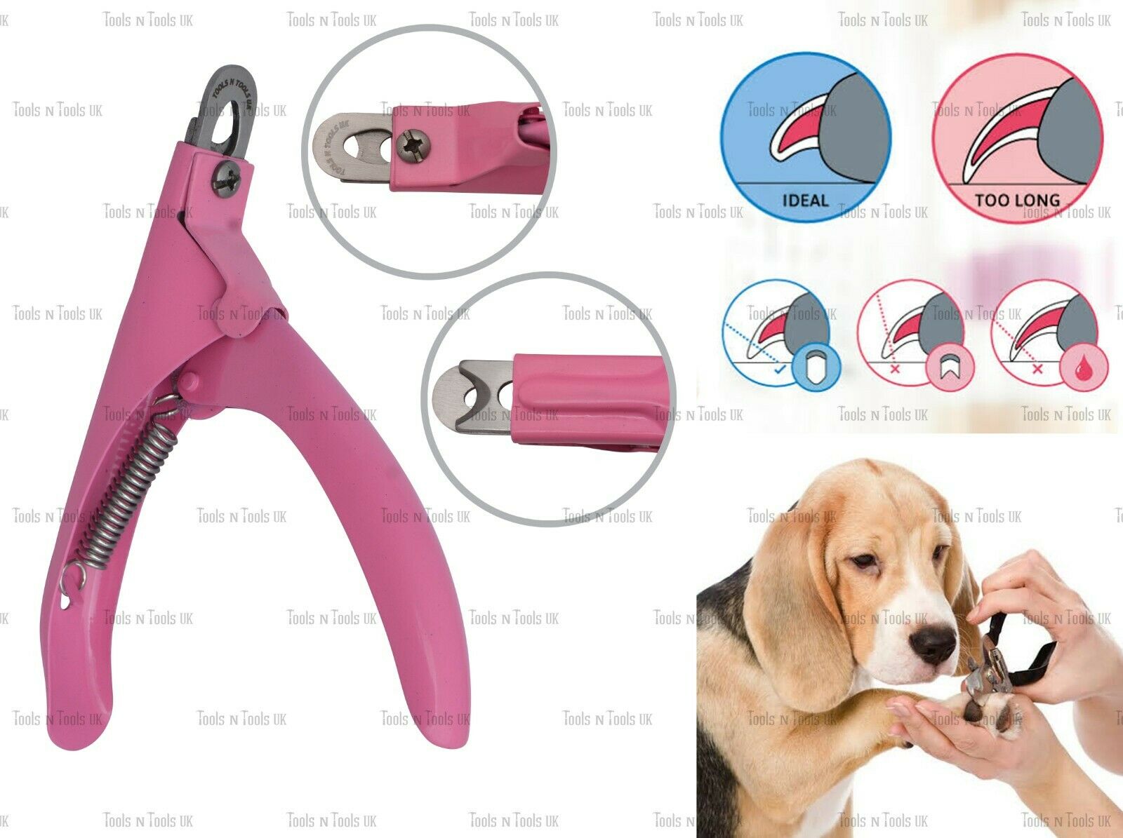 Variation-of-Pet-Nail-Clippers-Cutters-Dogs-Cats-Birds-Guinea-Pig-Animal-Claws-Cut-13-Colours-254746893557-1acc