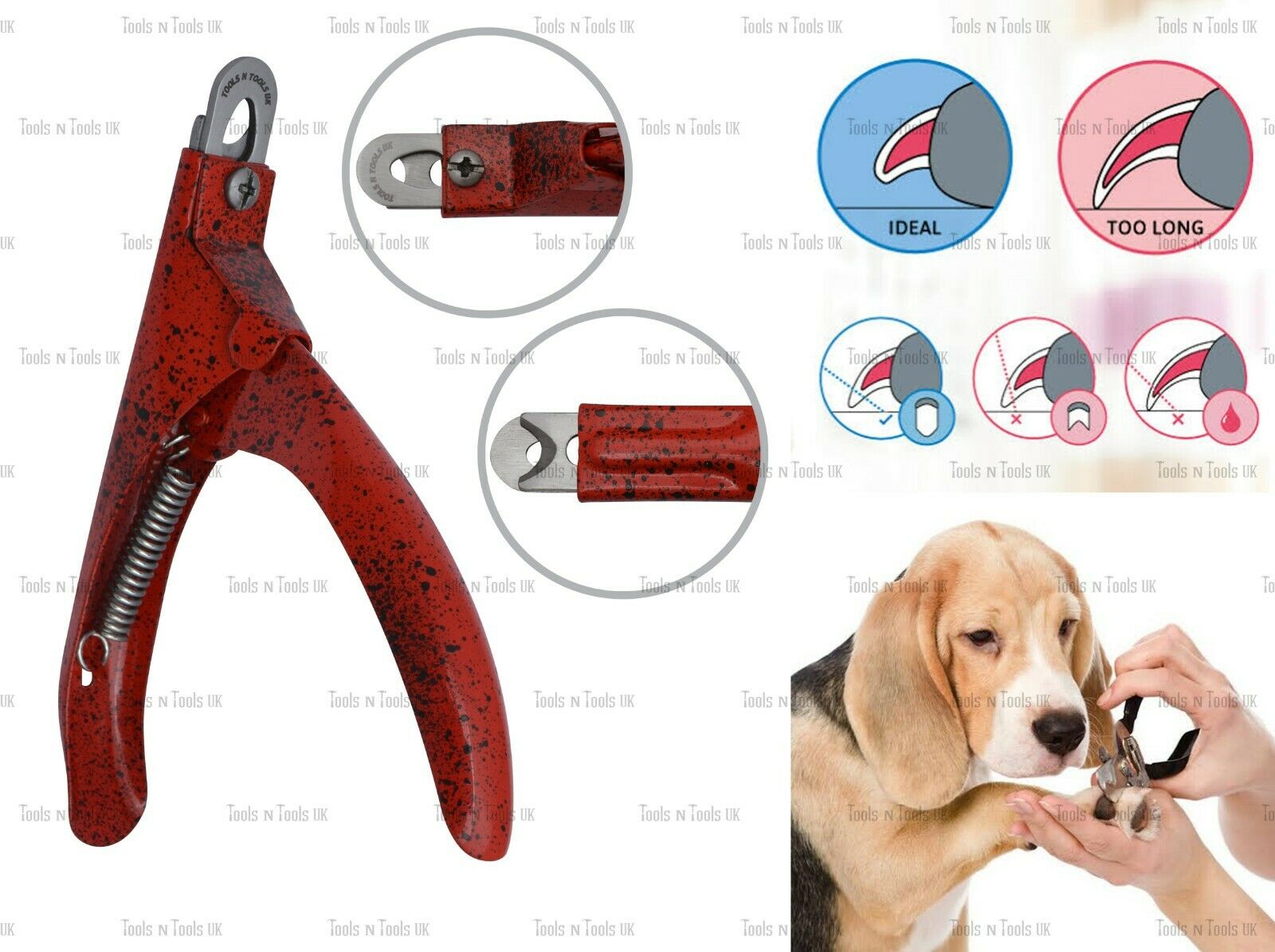 Variation-of-Pet-Nail-Clippers-Cutters-Dogs-Cats-Birds-Guinea-Pig-Animal-Claws-Cut-13-Colours-254746893557-29e0