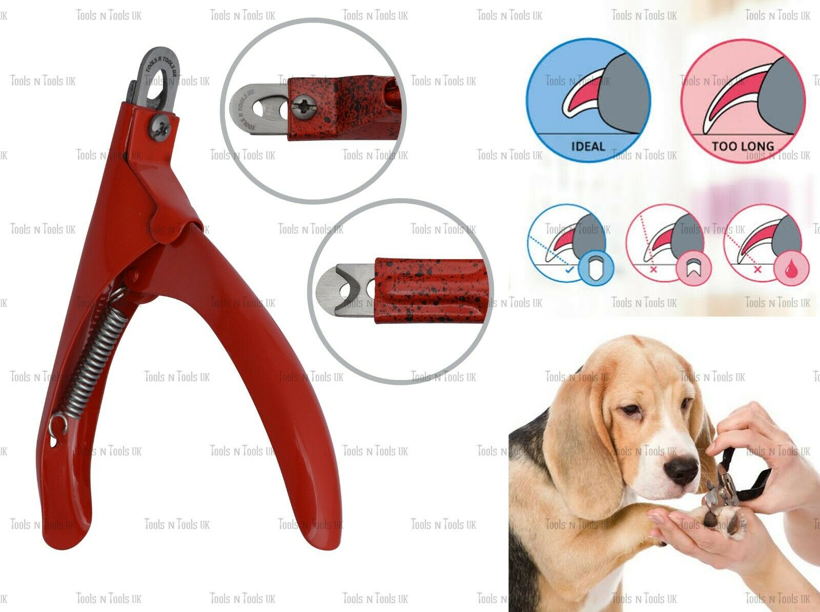 Variation-of-Pet-Nail-Clippers-Cutters-Dogs-Cats-Birds-Guinea-Pig-Animal-Claws-Cut-13-Colours-254746893557-733c