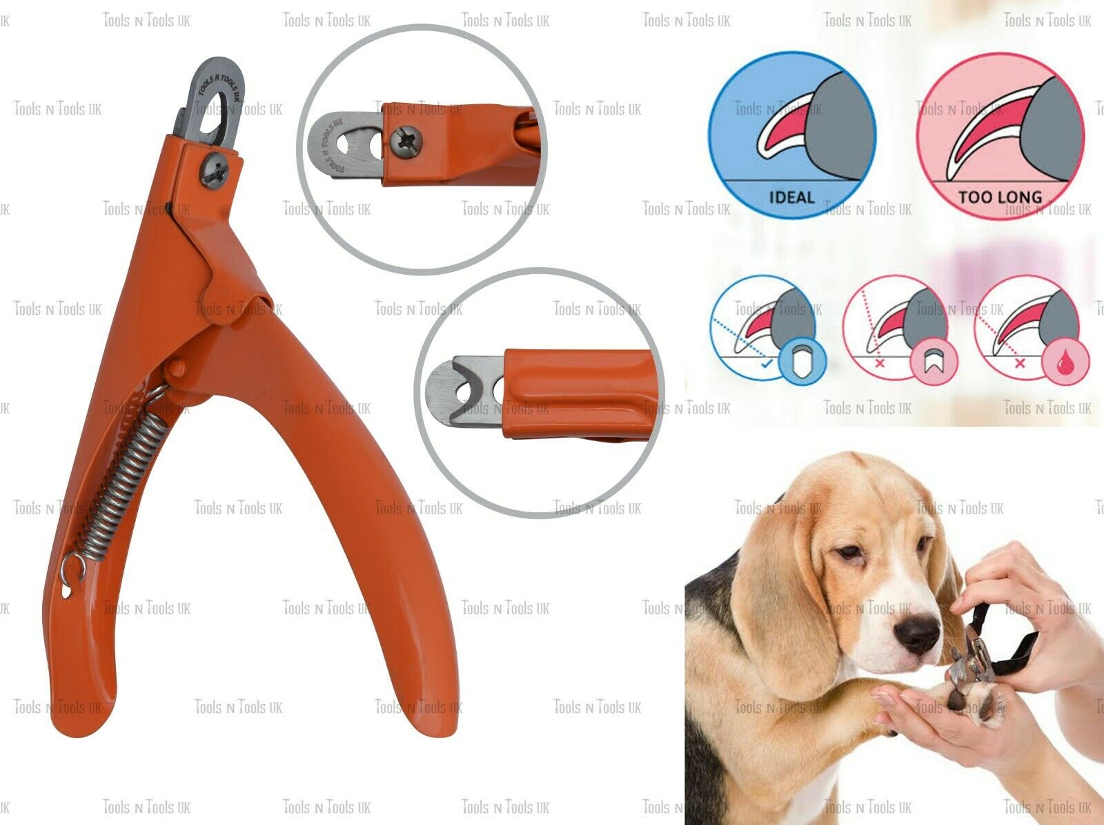 Variation-of-Pet-Nail-Clippers-Cutters-Dogs-Cats-Birds-Guinea-Pig-Animal-Claws-Cut-13-Colours-254746893557-7a42