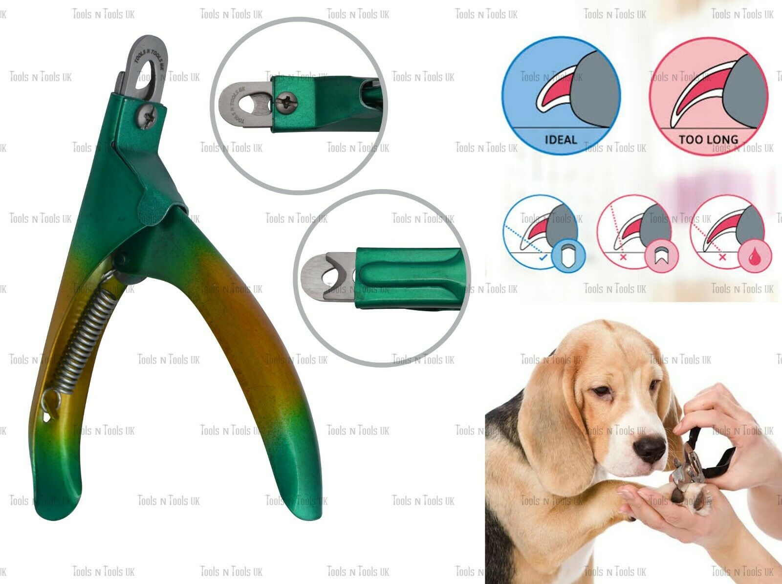 Variation-of-Pet-Nail-Clippers-Cutters-Dogs-Cats-Birds-Guinea-Pig-Animal-Claws-Cut-13-Colours-254746893557-c87e