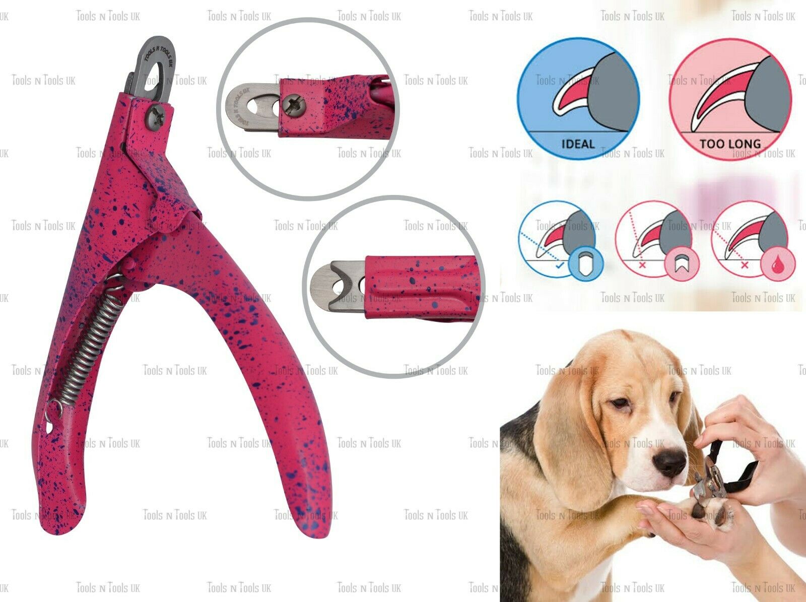 Variation-of-Pet-Nail-Clippers-Cutters-Dogs-Cats-Birds-Guinea-Pig-Animal-Claws-Cut-13-Colours-254746893557-f25e